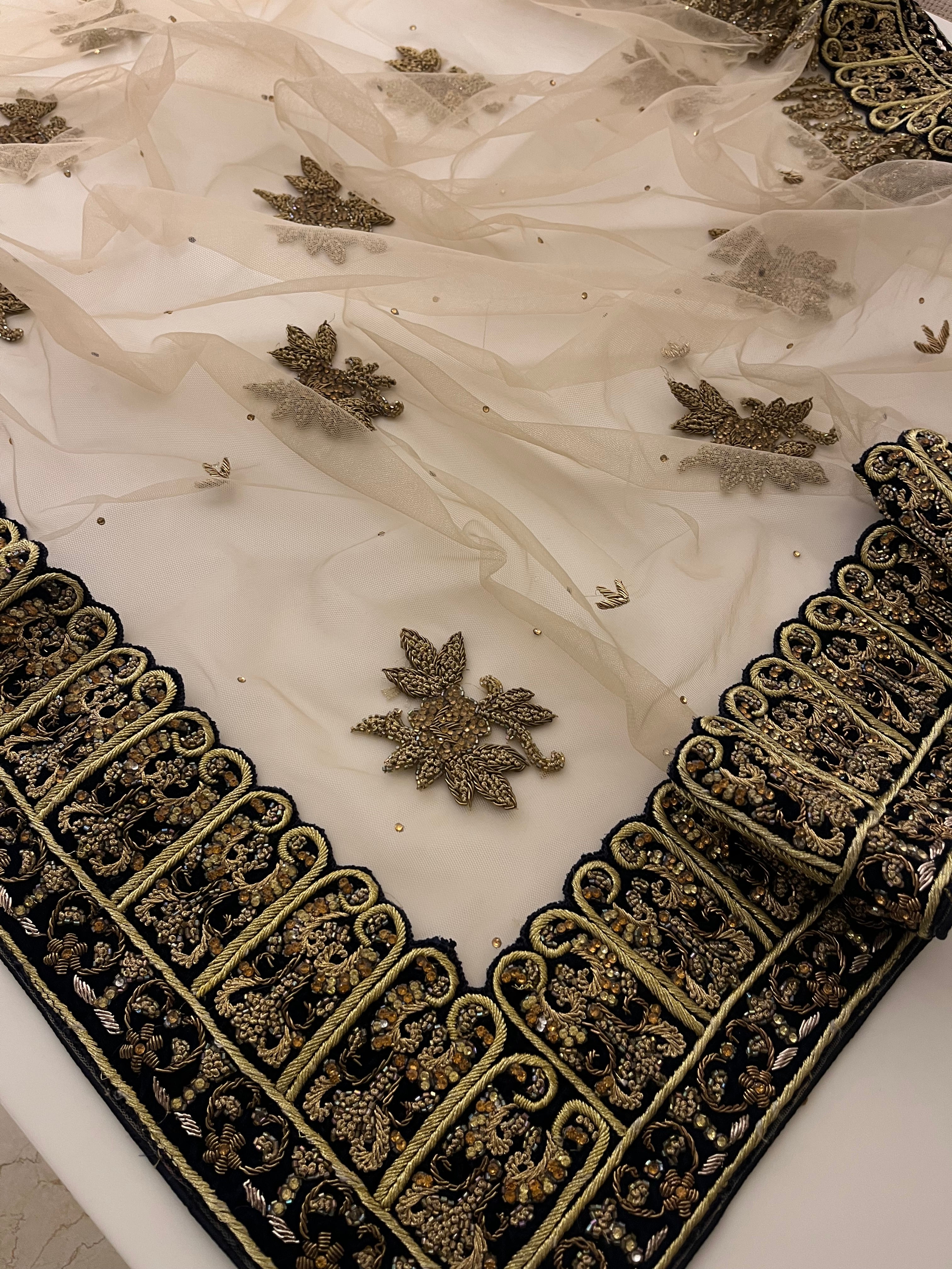 Beige Net & Velvet Saree