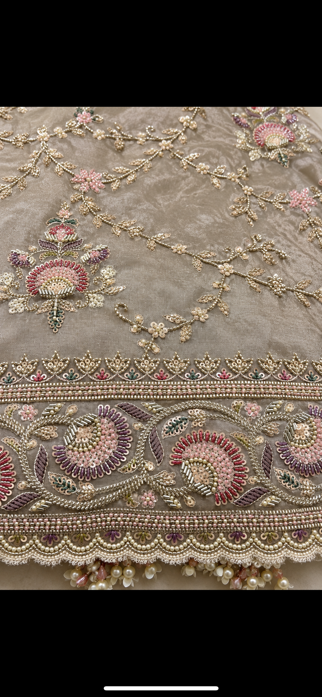 Aradhna tissue handwork saree