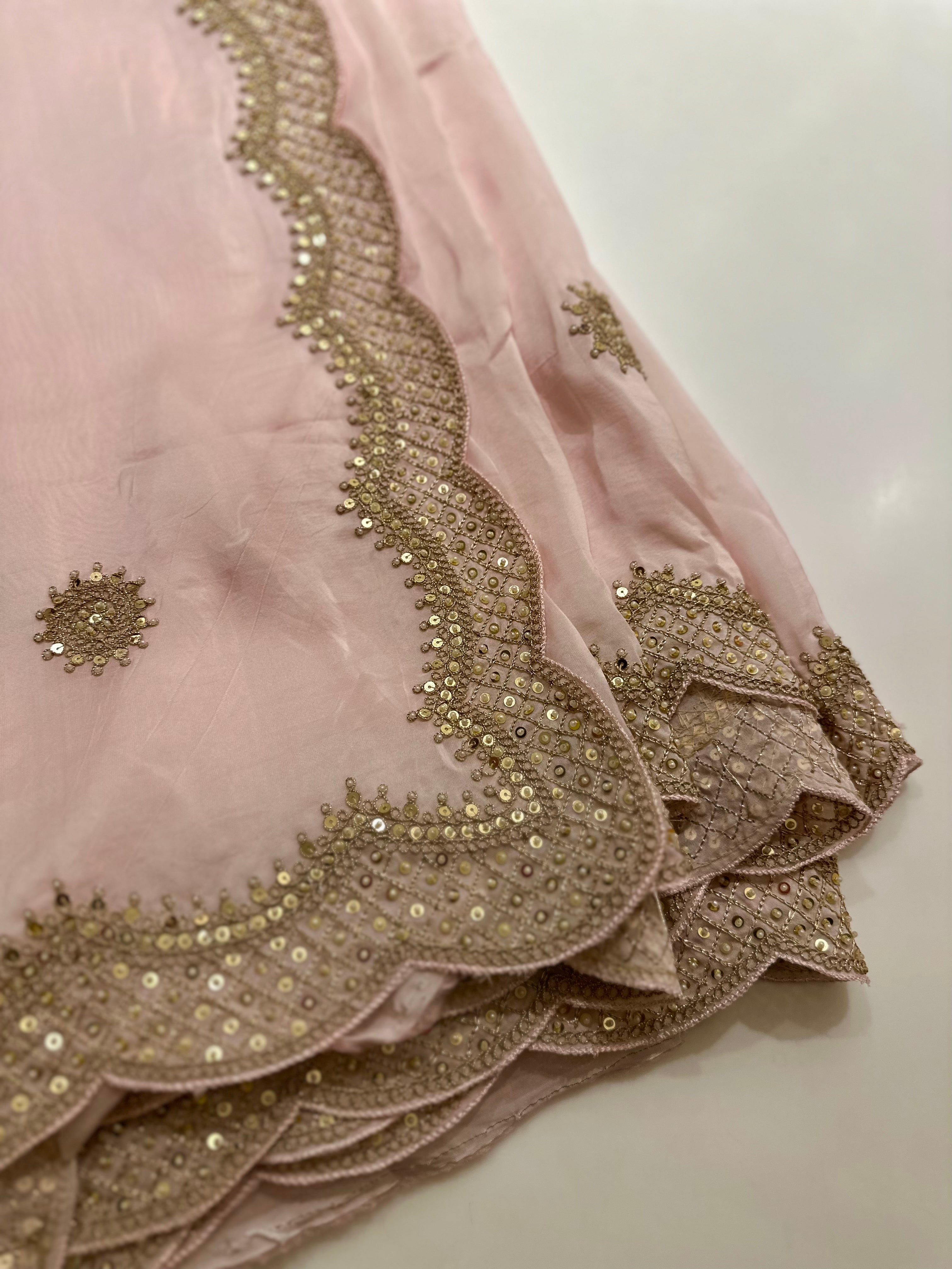 Dori Sequins Rajwada saree