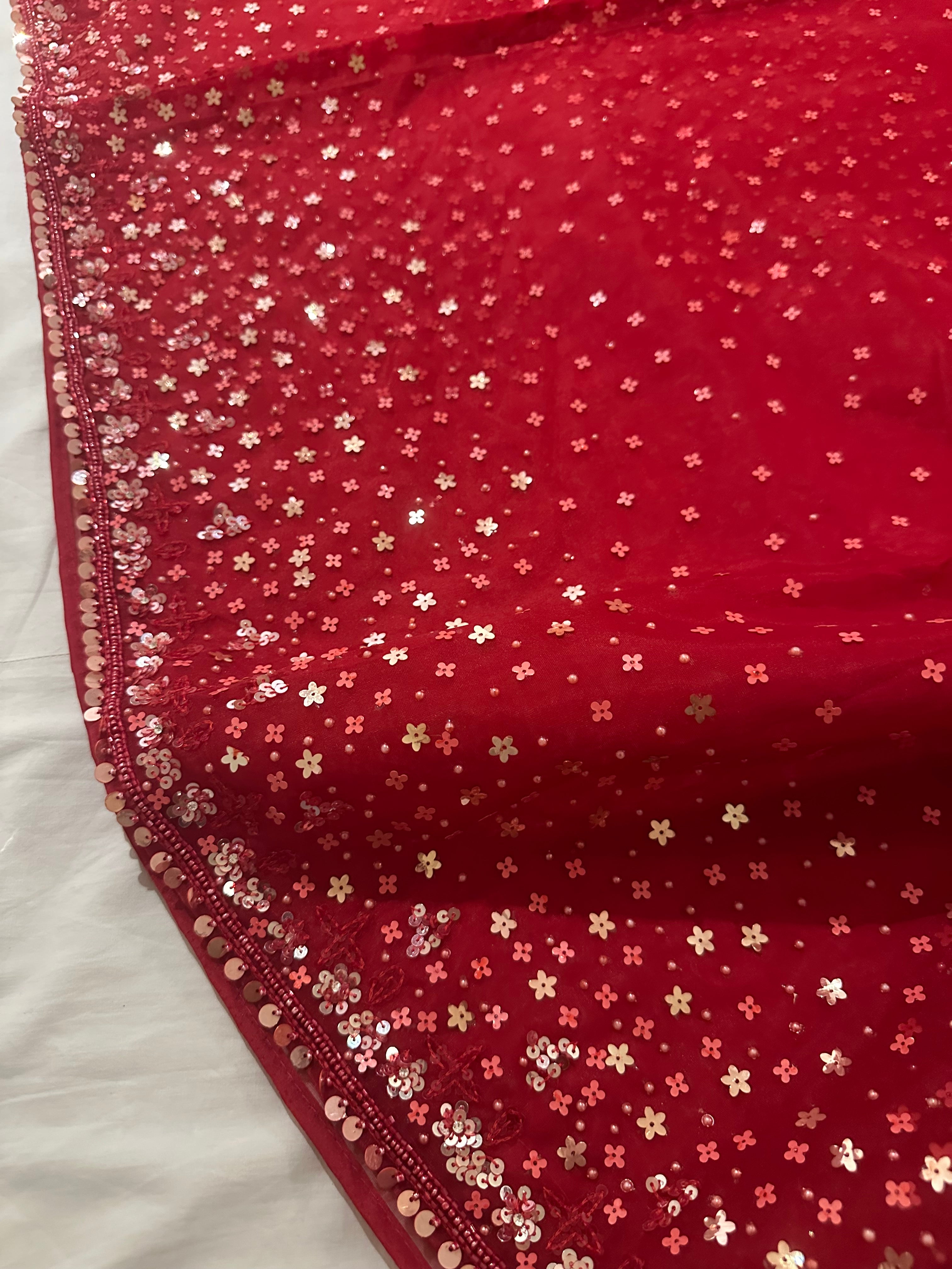 Nora Cocktail Saree ( Parisa collection)