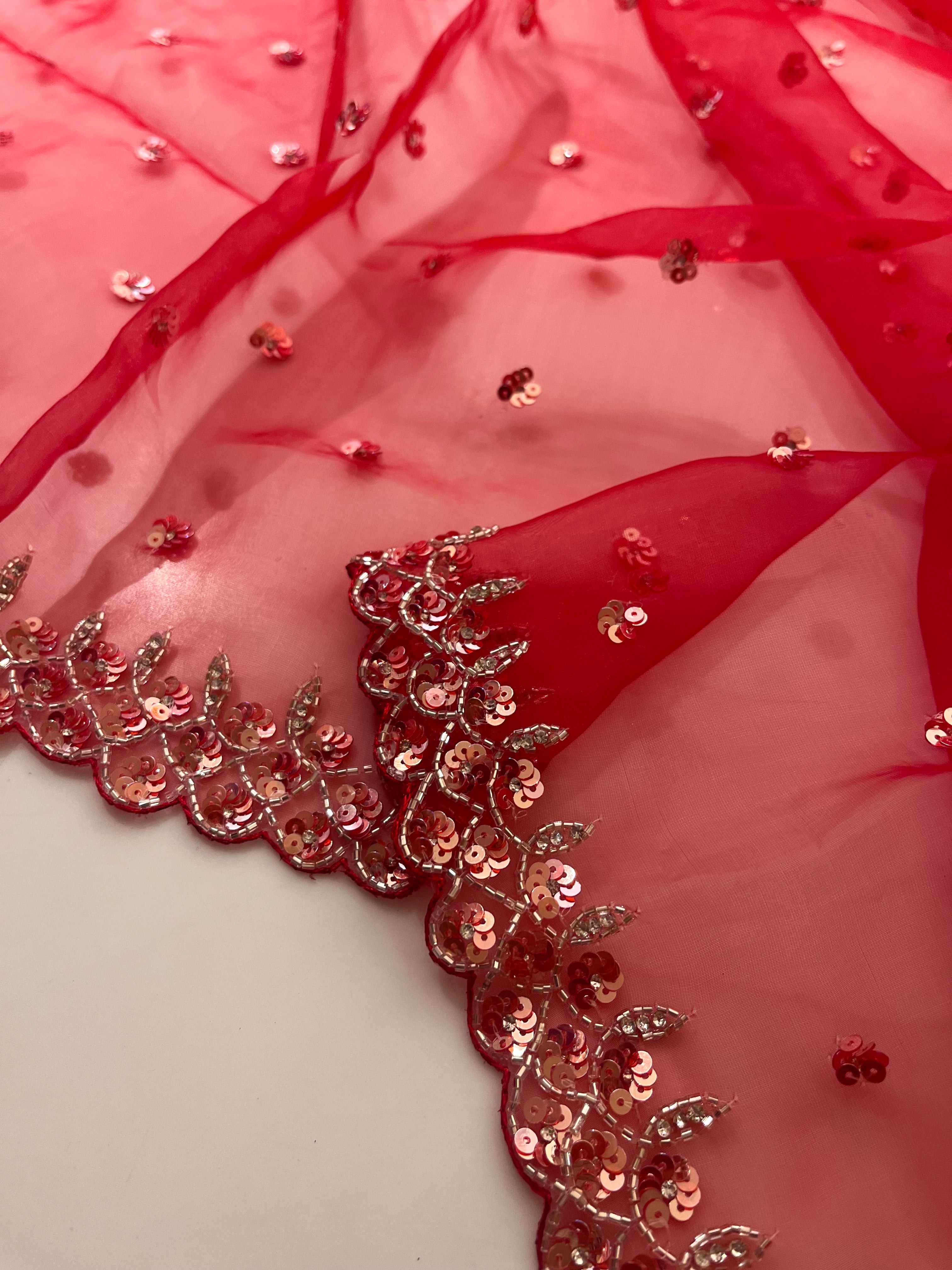 Rube Radiance sequins saree