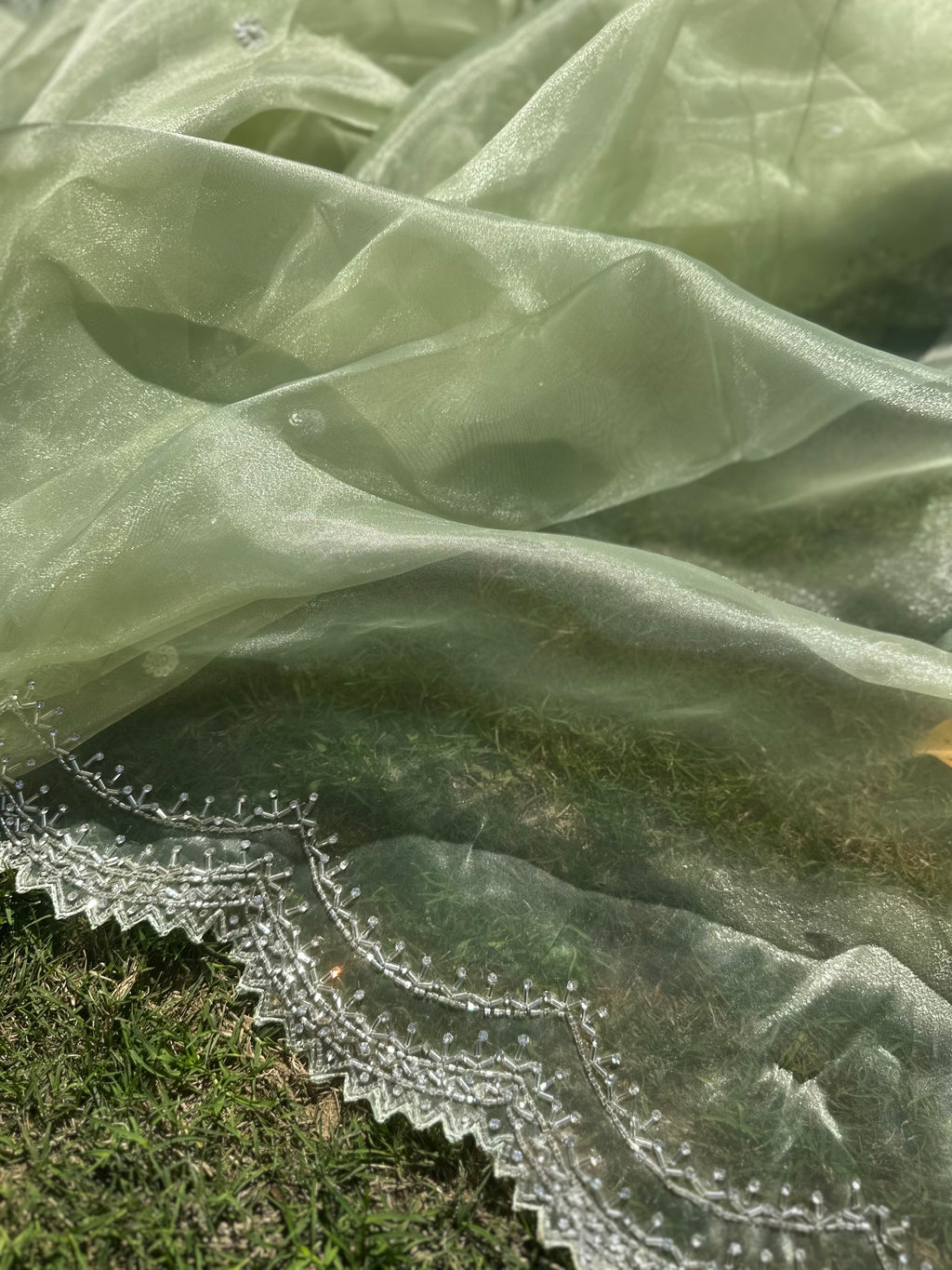Kiwi Tissue organza saree