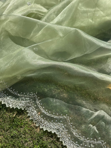 Kiwi Tissue organza saree