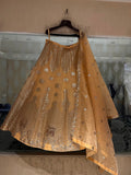 Sunhera Organza Lehenga Set