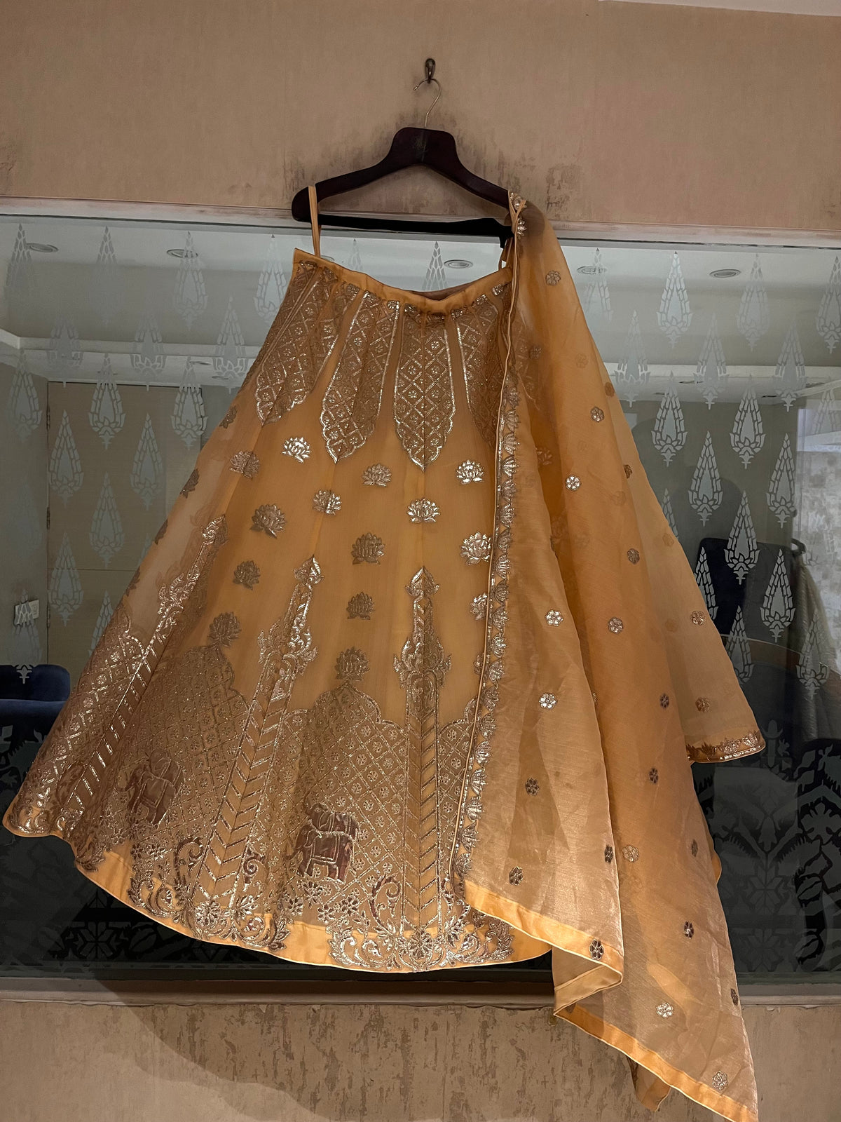 Sunhera Organza Lehenga Set