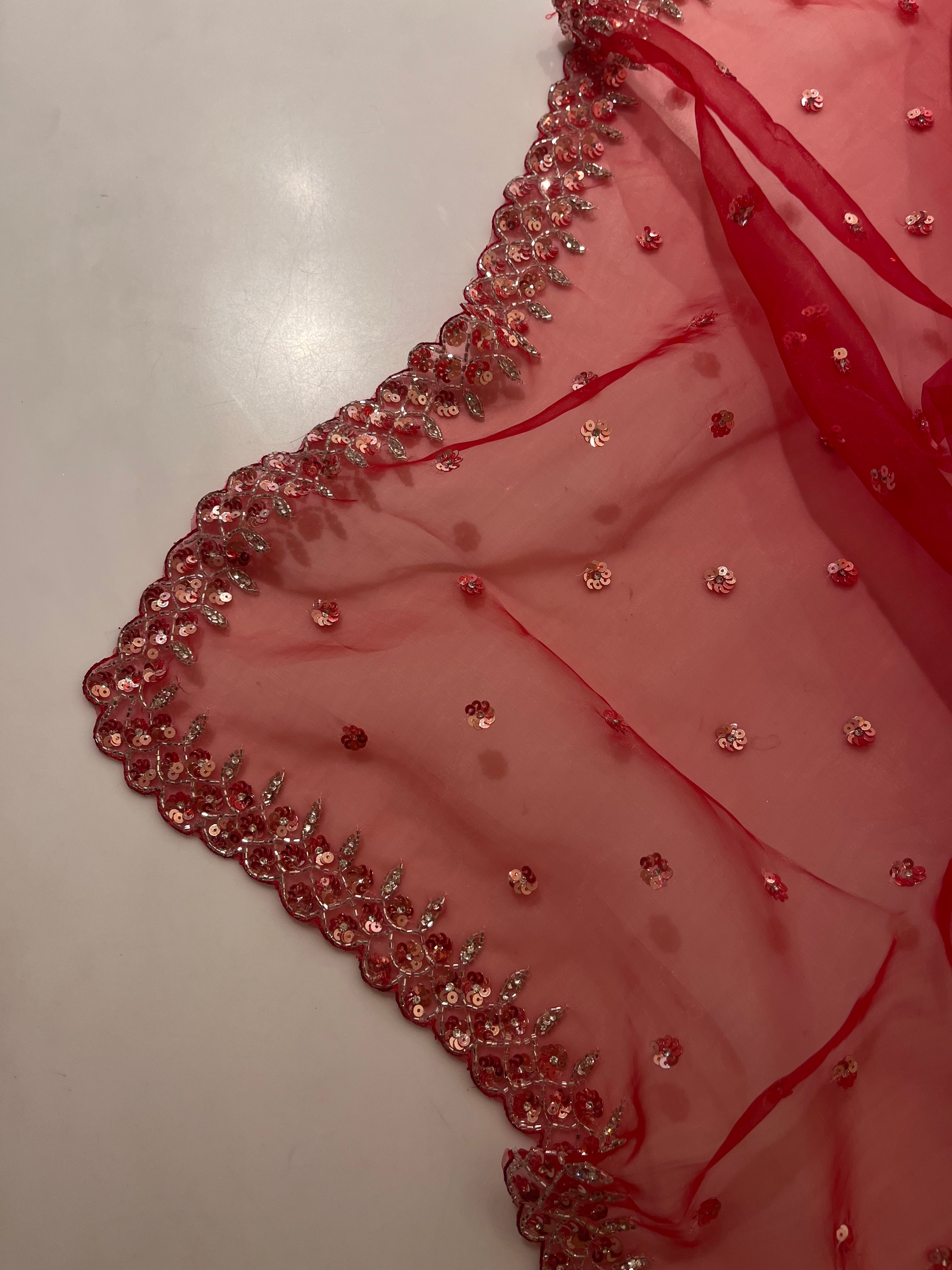 Rube Radiance sequins saree