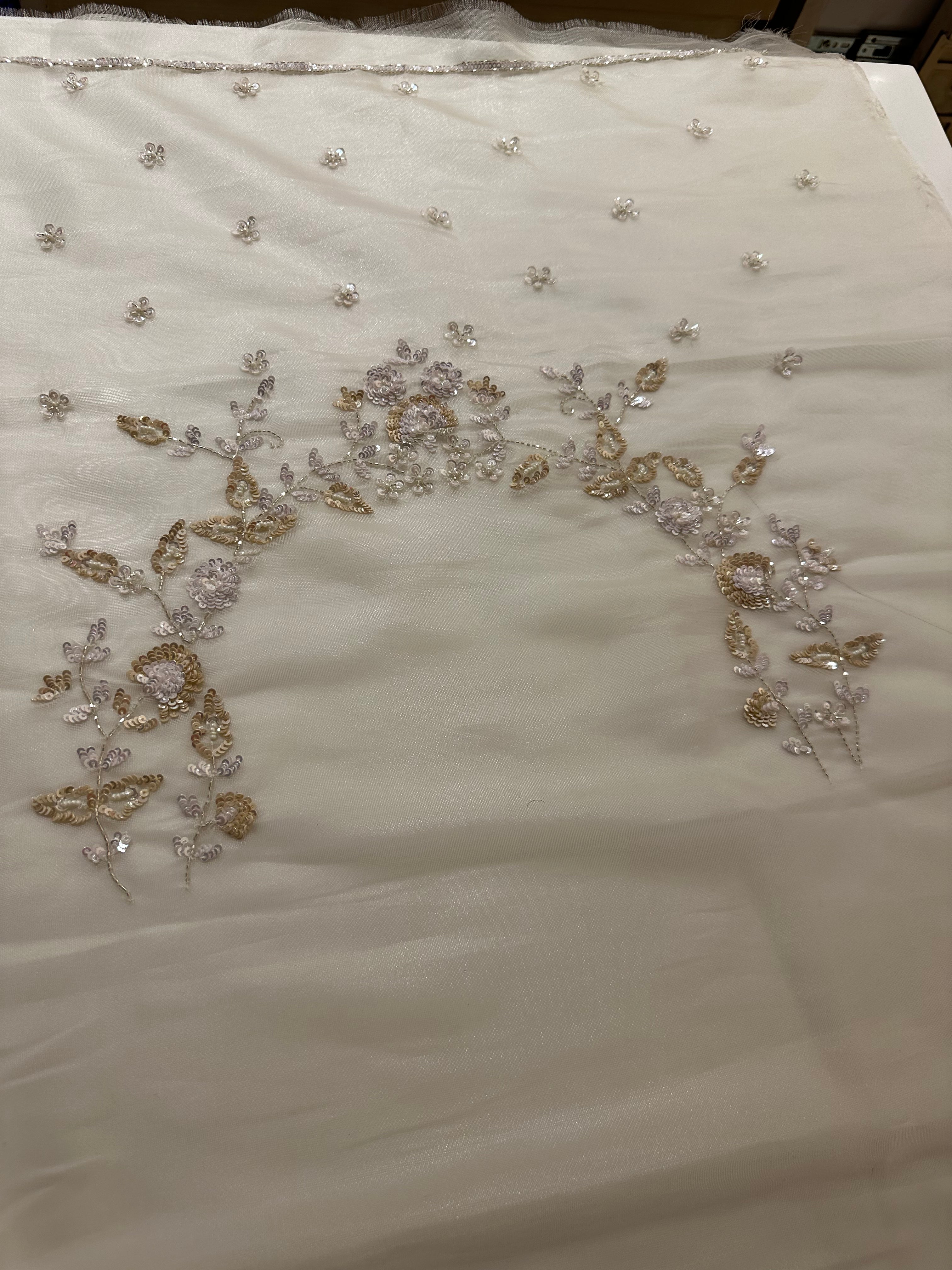 Tissue Moon Glow saree