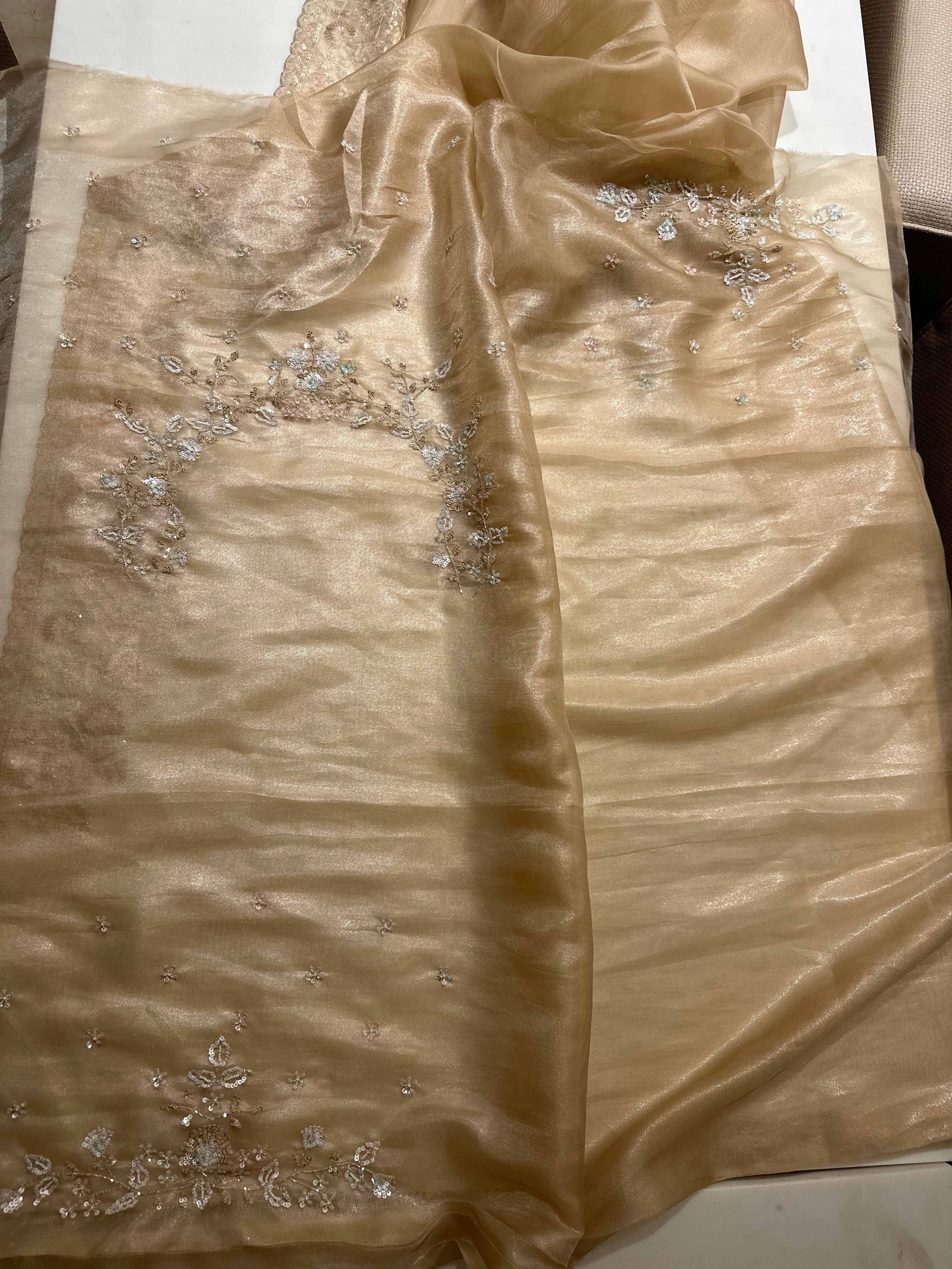 Gold Tissue Handwork Saree