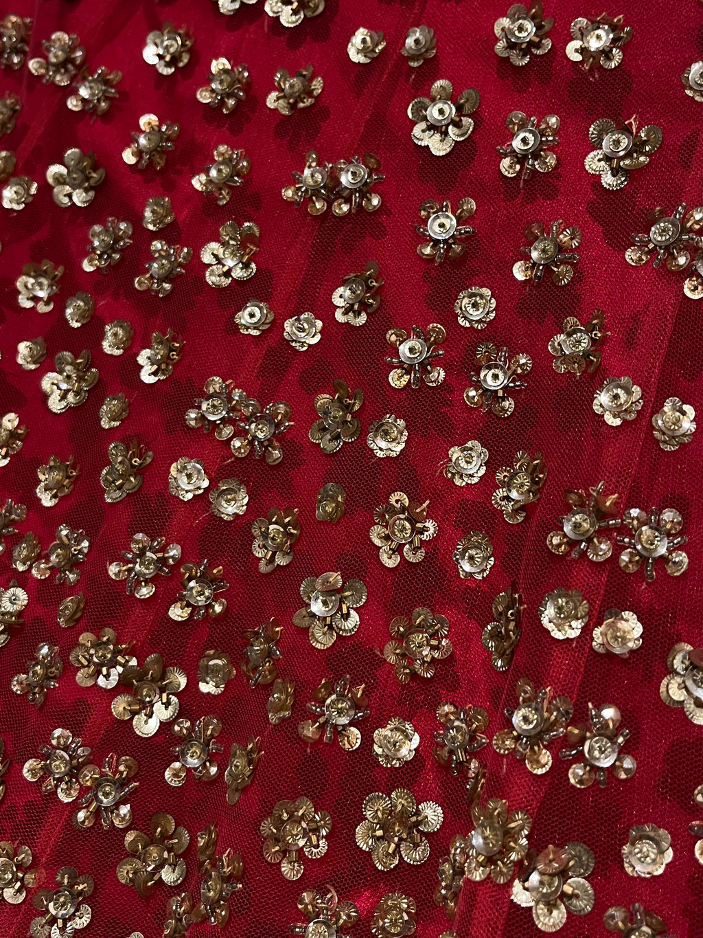 raani sequins lehenga set