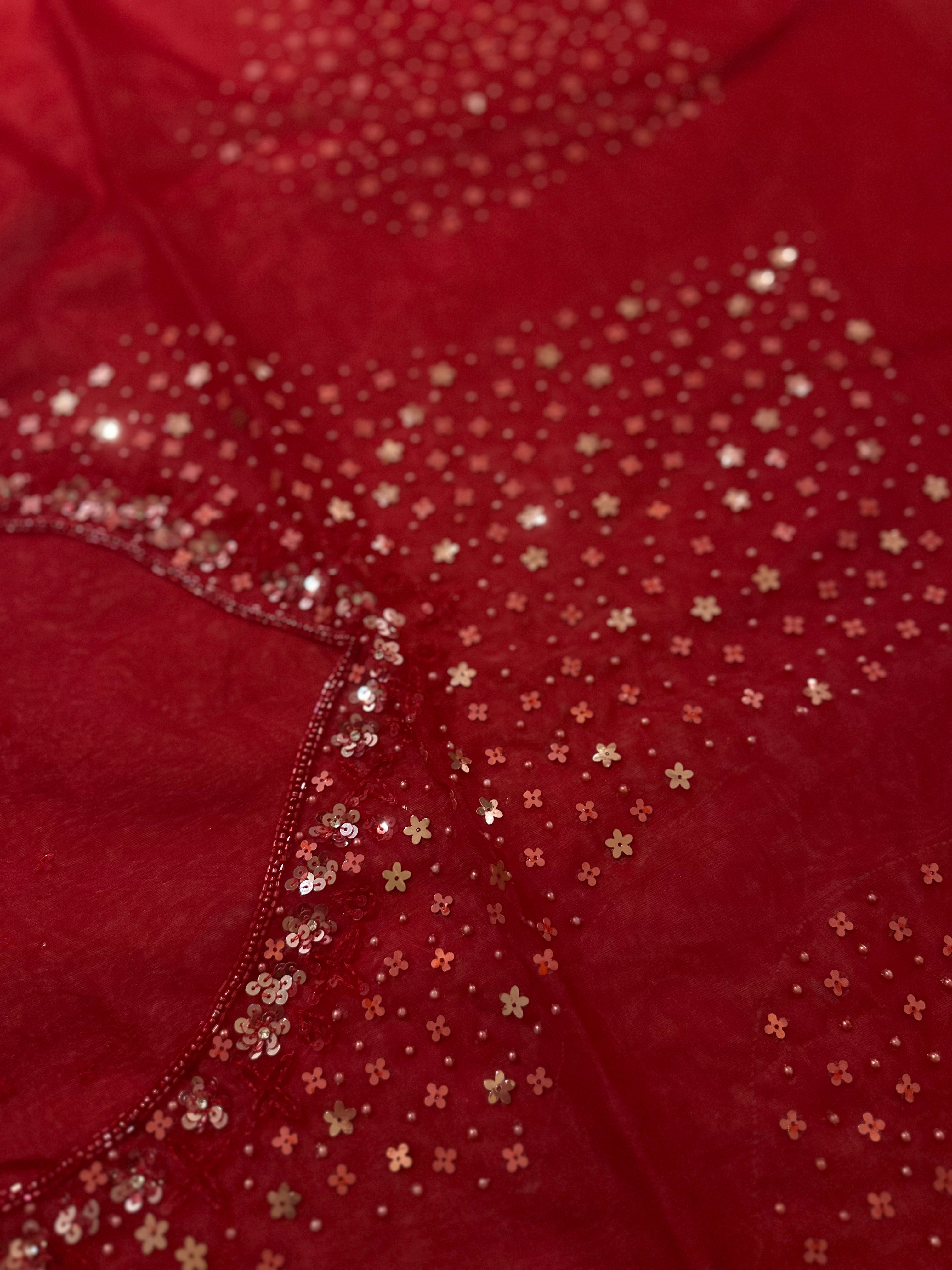 Nora Cocktail Saree ( Parisa collection)