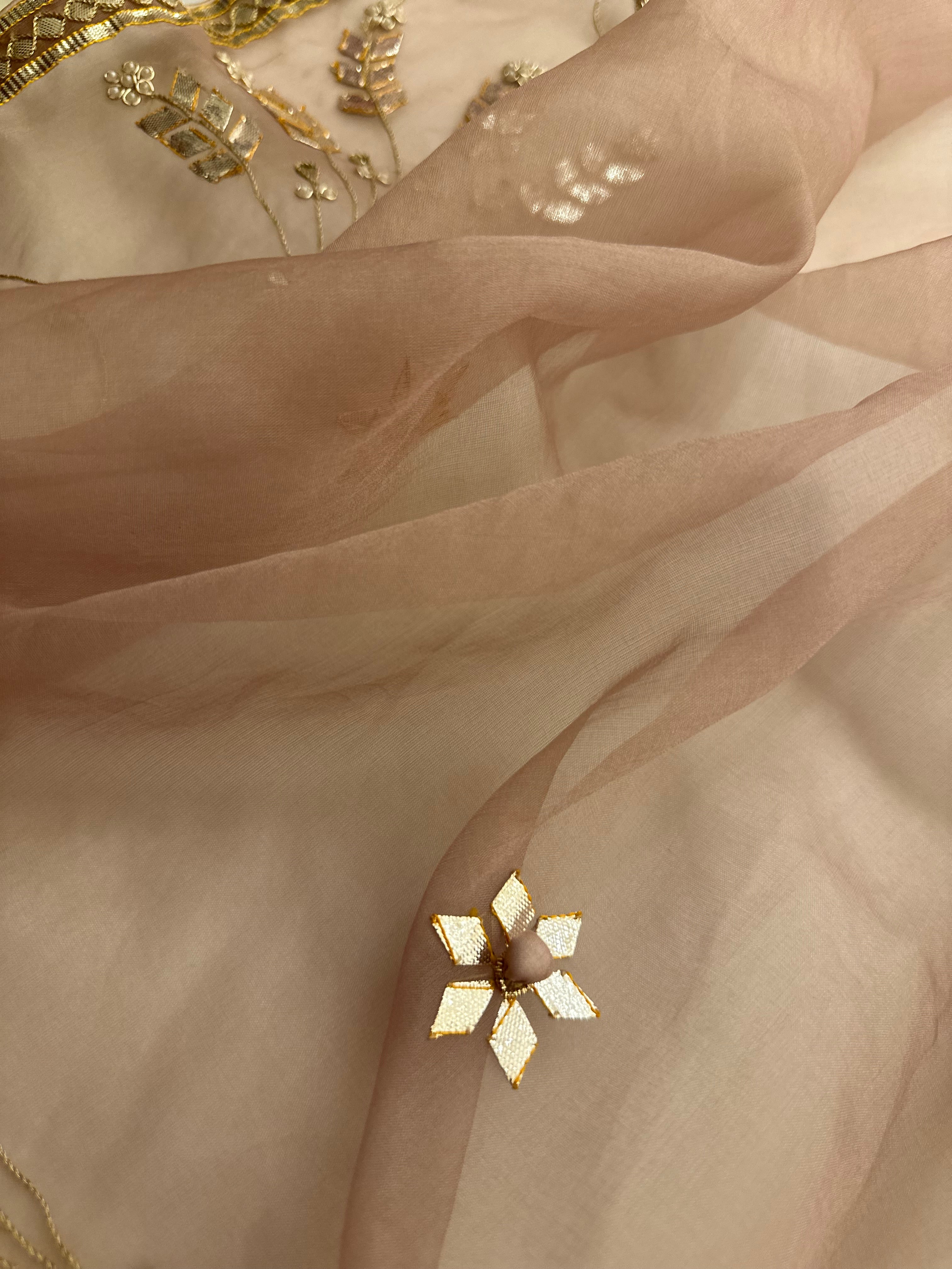 Padmini in Dusty Pink saree