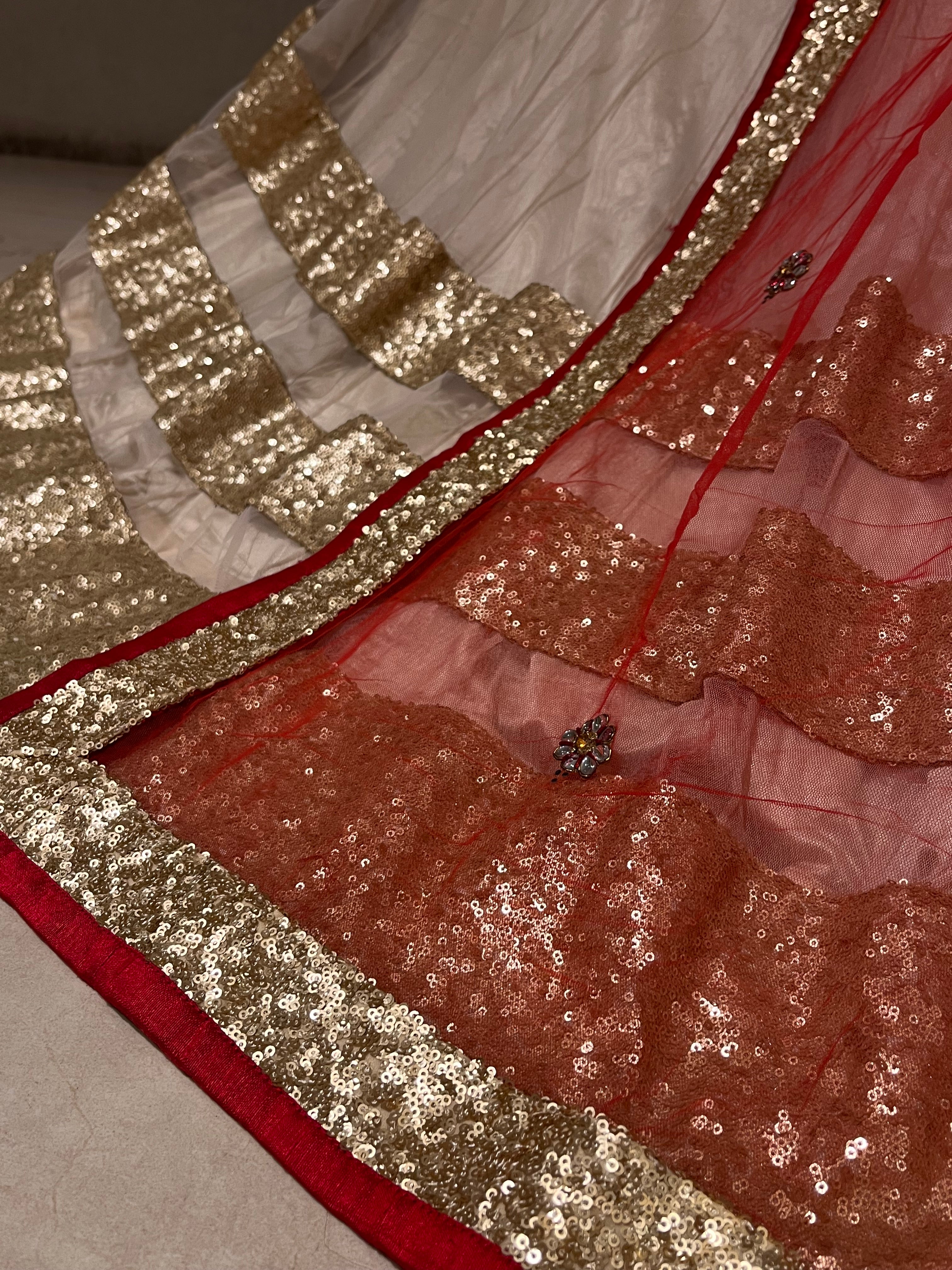 Sangeet Night Sequins Lehenga set