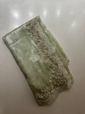 Pistachio Tissue Saree