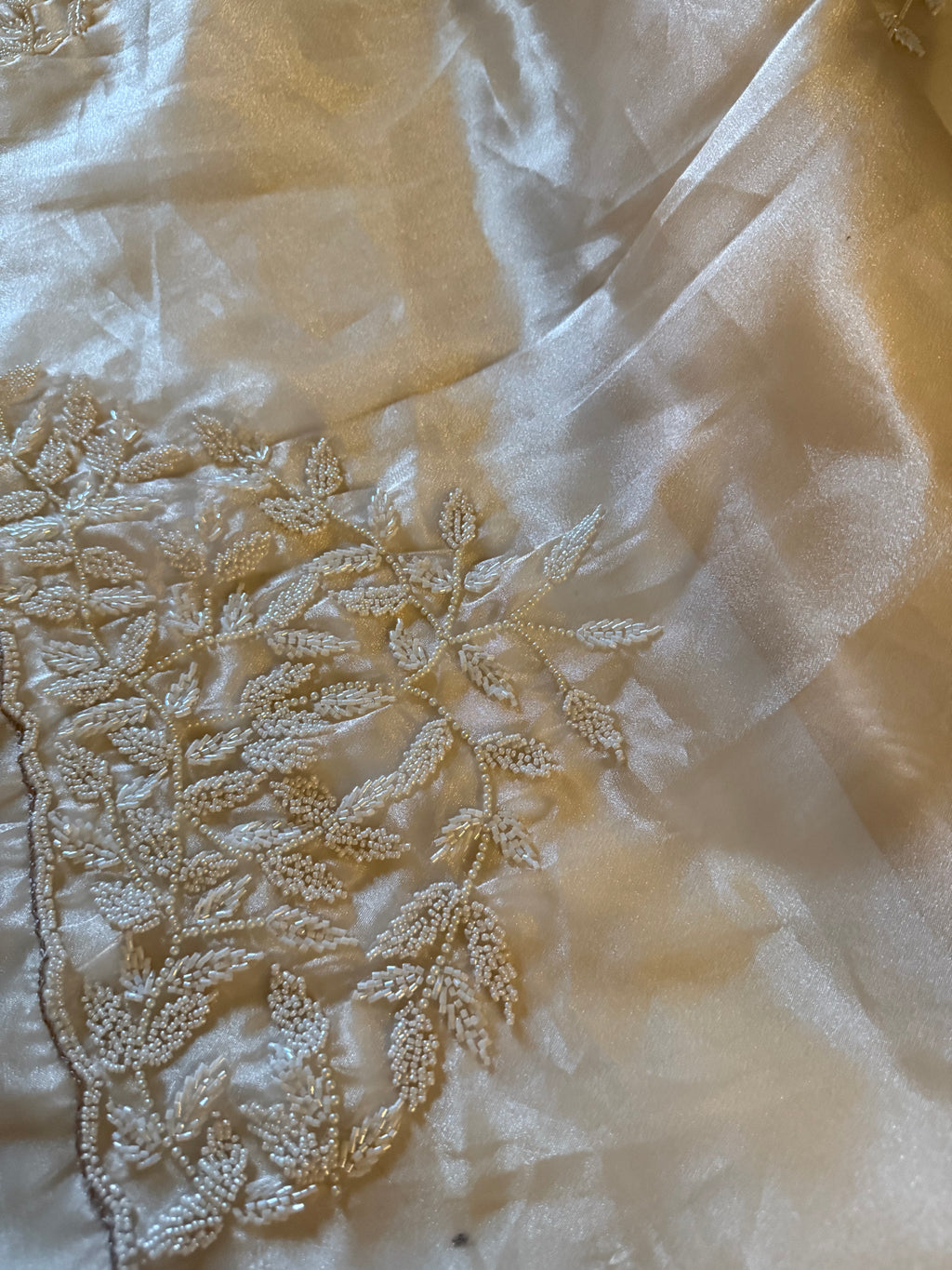 Débutante Champagne Saree