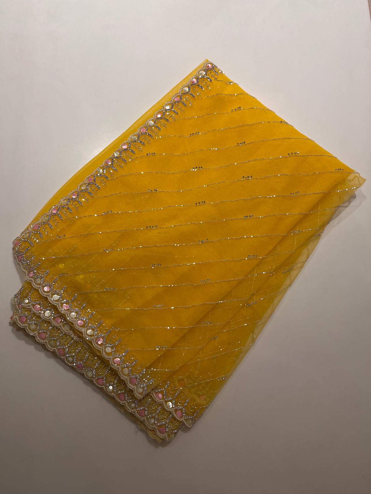 Summer Glam Net saree