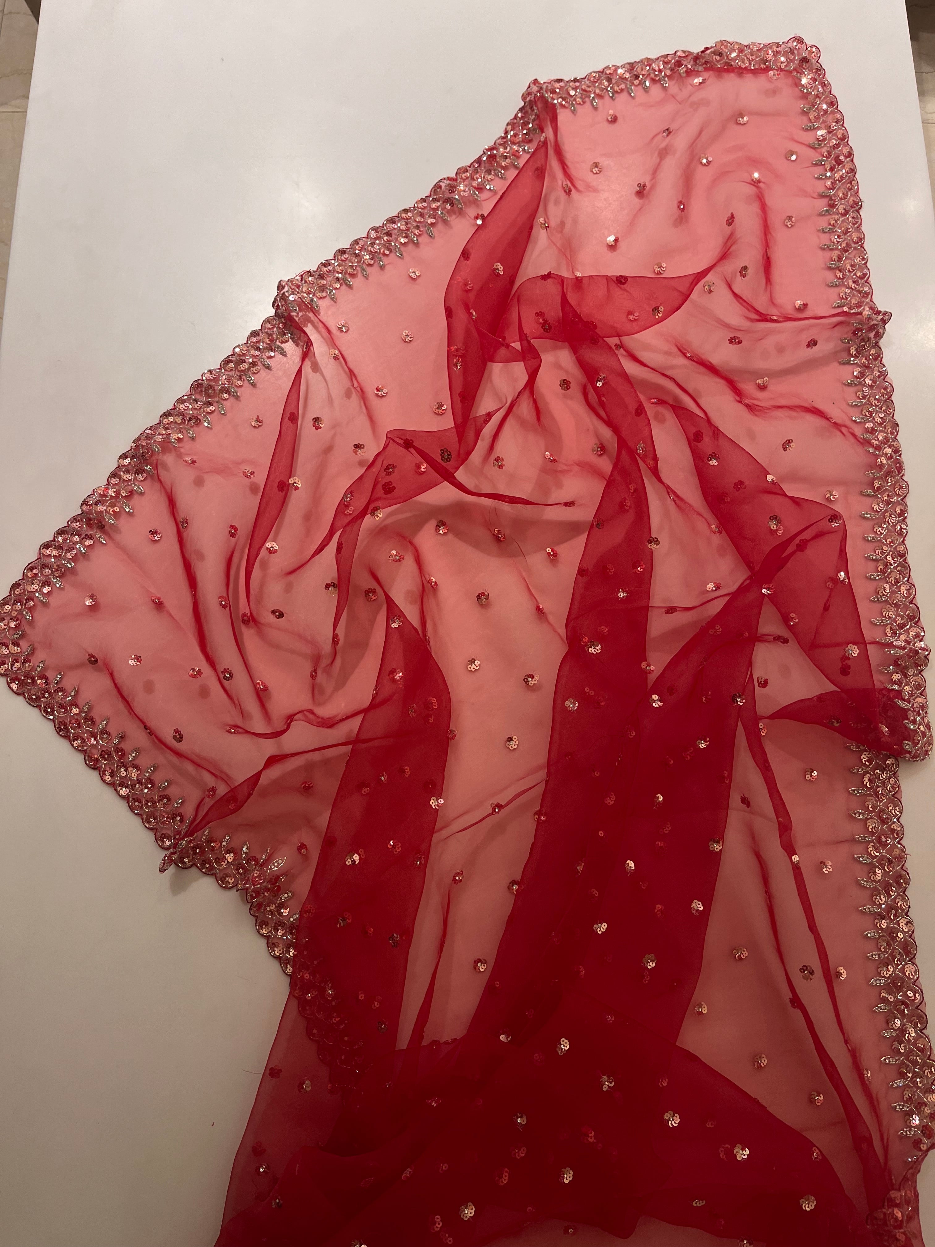 Rube Radiance sequins saree