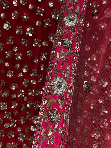 raani sequins lehenga set