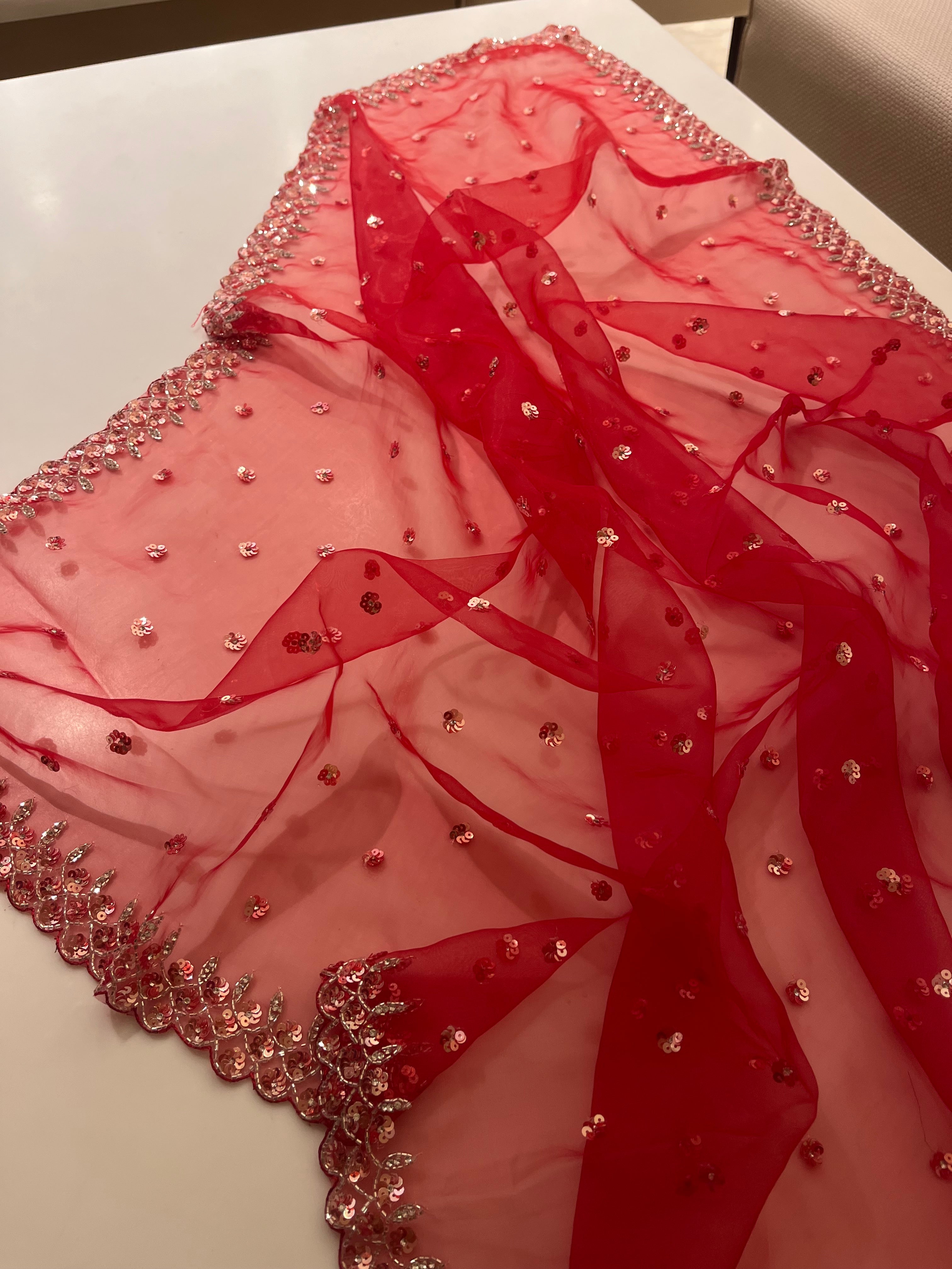 Rube Radiance sequins saree
