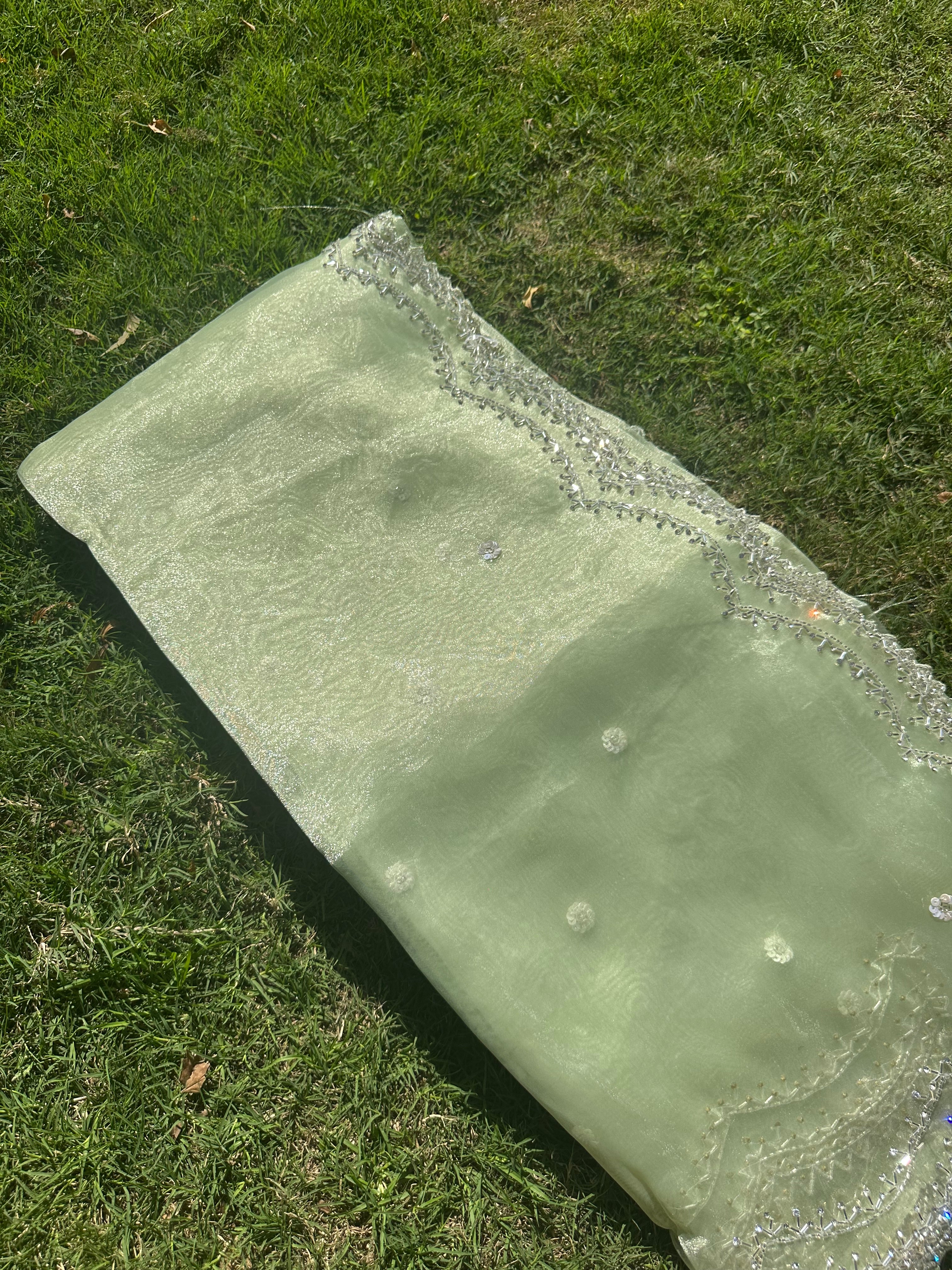 Kiwi Tissue organza saree