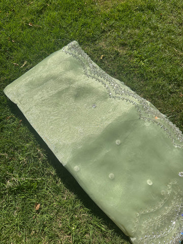 Kiwi Tissue organza saree