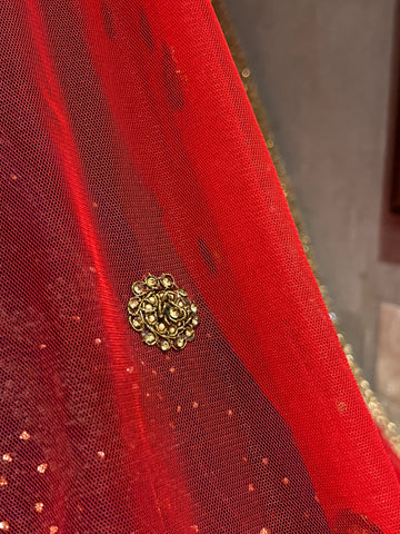 Sabya Style Lucknowi Lehenga Set