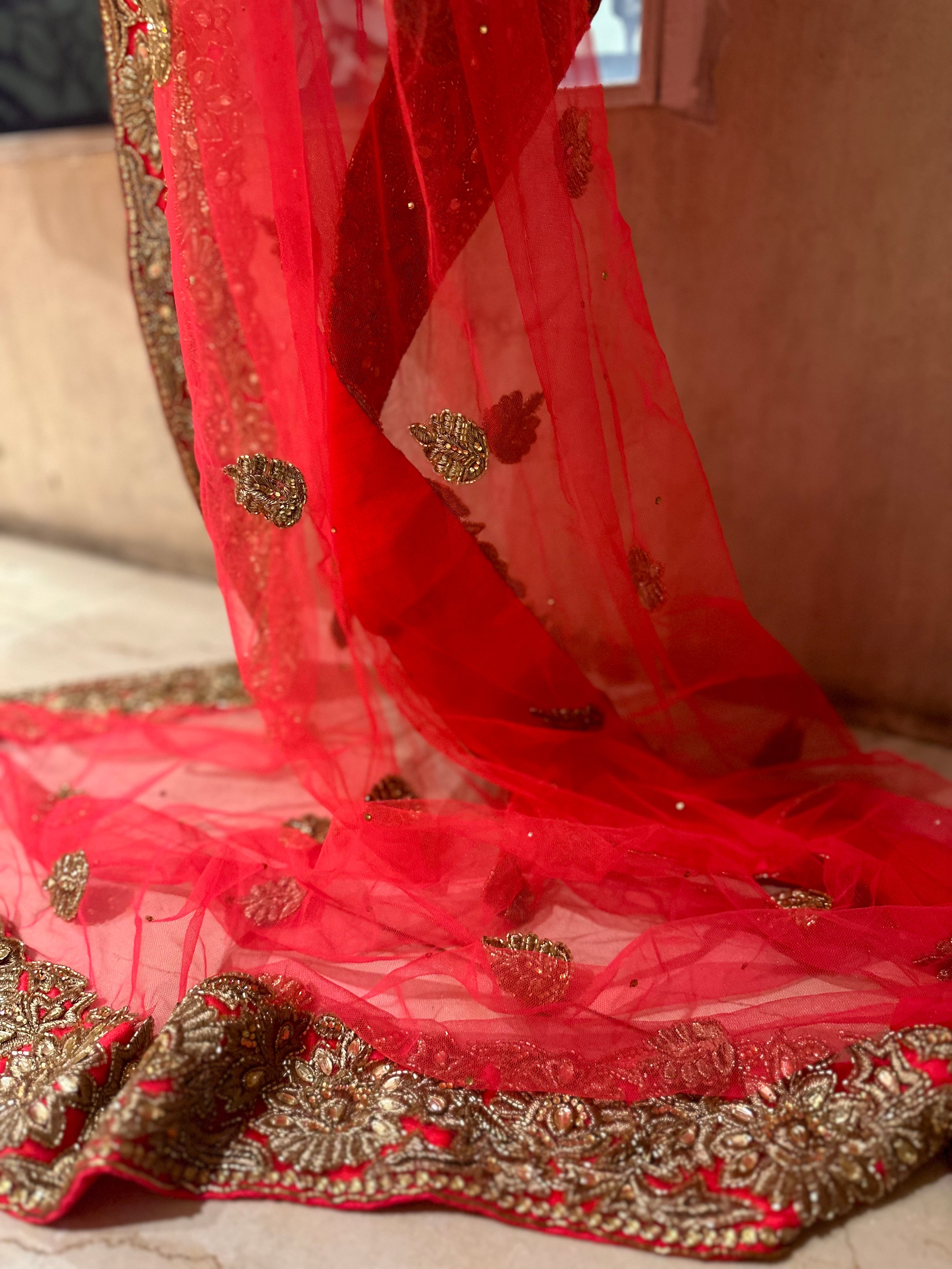 Paro Heavy Lehenga set