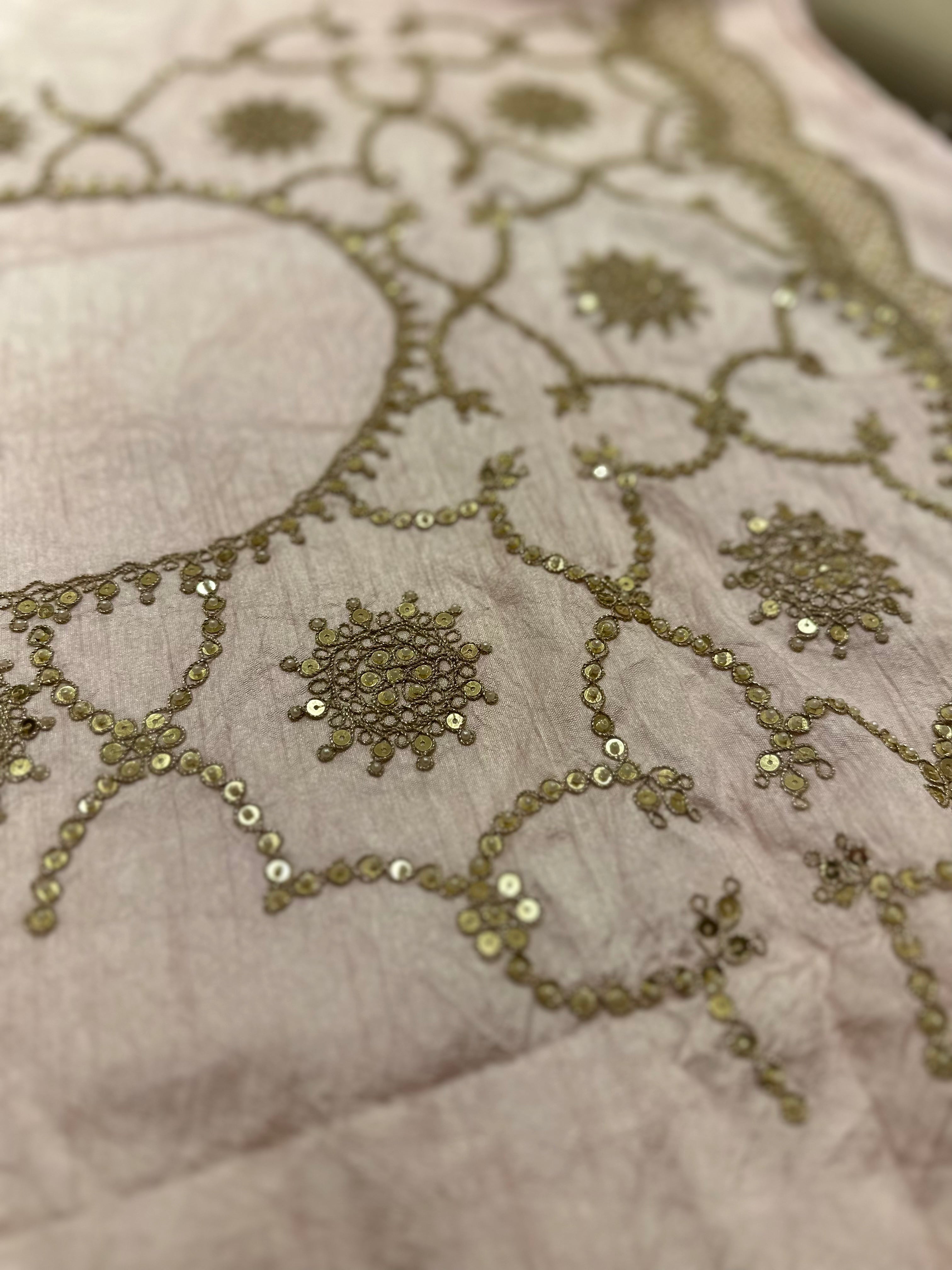 Dori Sequins Rajwada saree