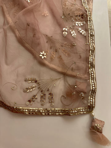 Gauri Lehenga set Peach Nude shade