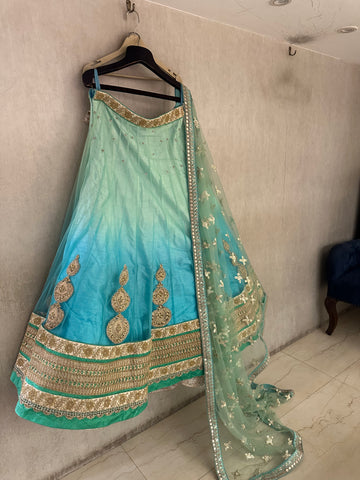 Handwork Danka Lehenga