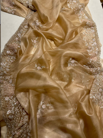 Gold Tissue Handwork Saree