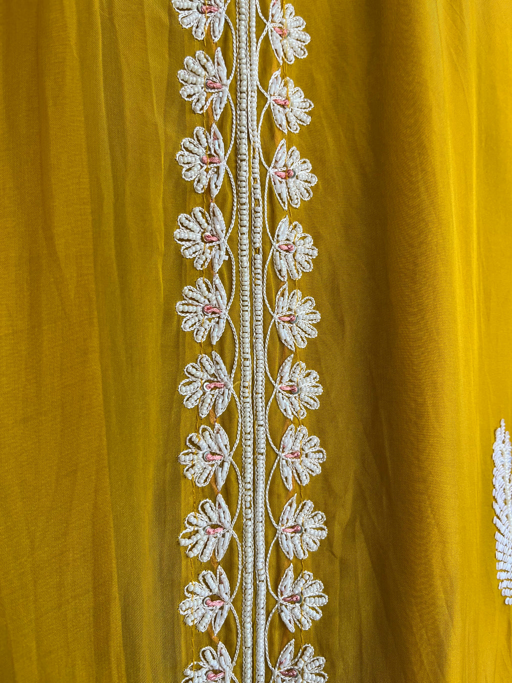 Mustard Organza suit