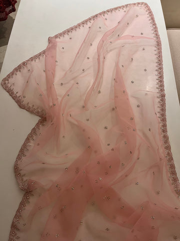 Pretty In Pink Organza Saree