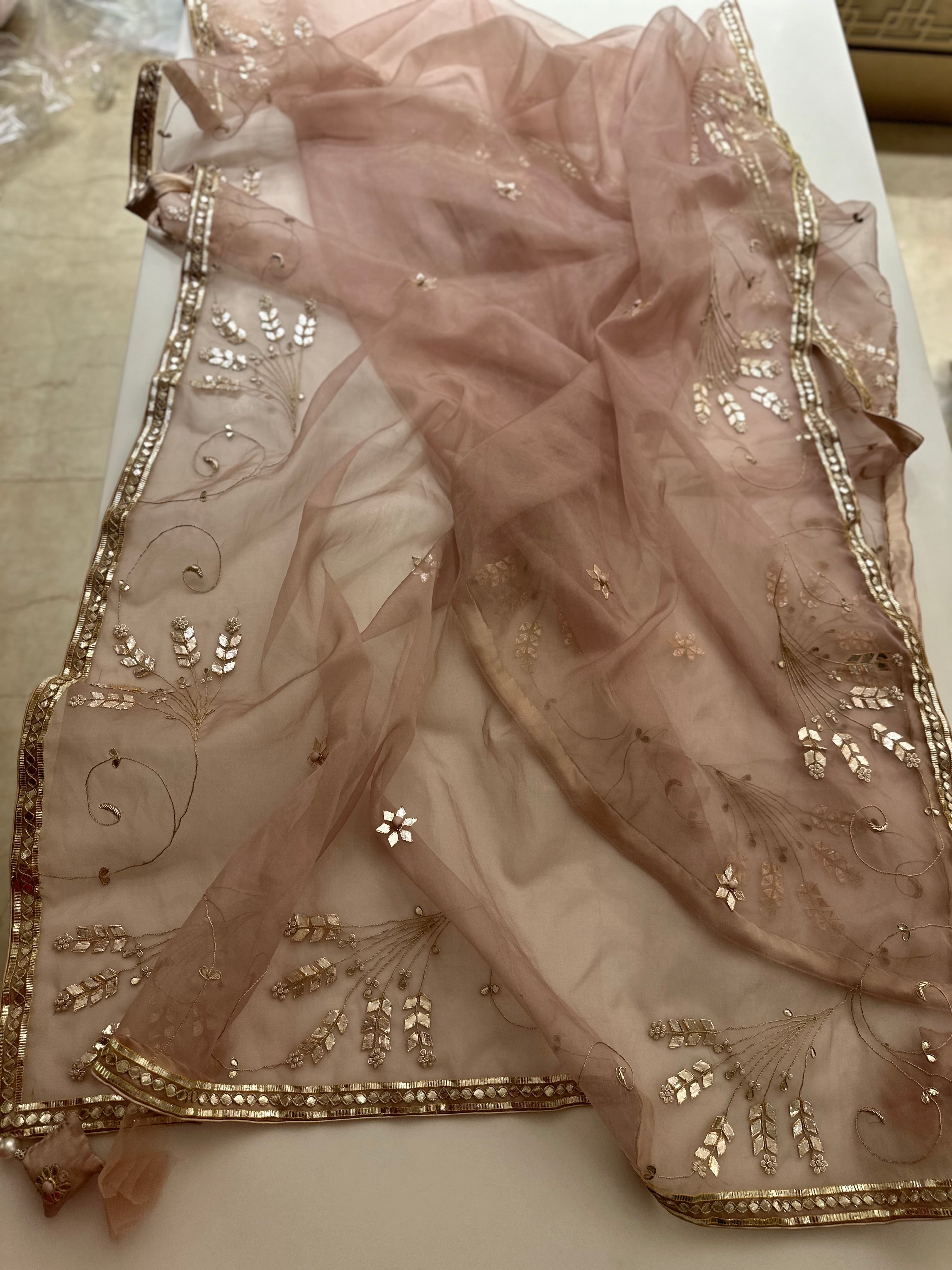 Padmini in Dusty Pink saree