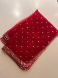 Rube Radiance sequins saree