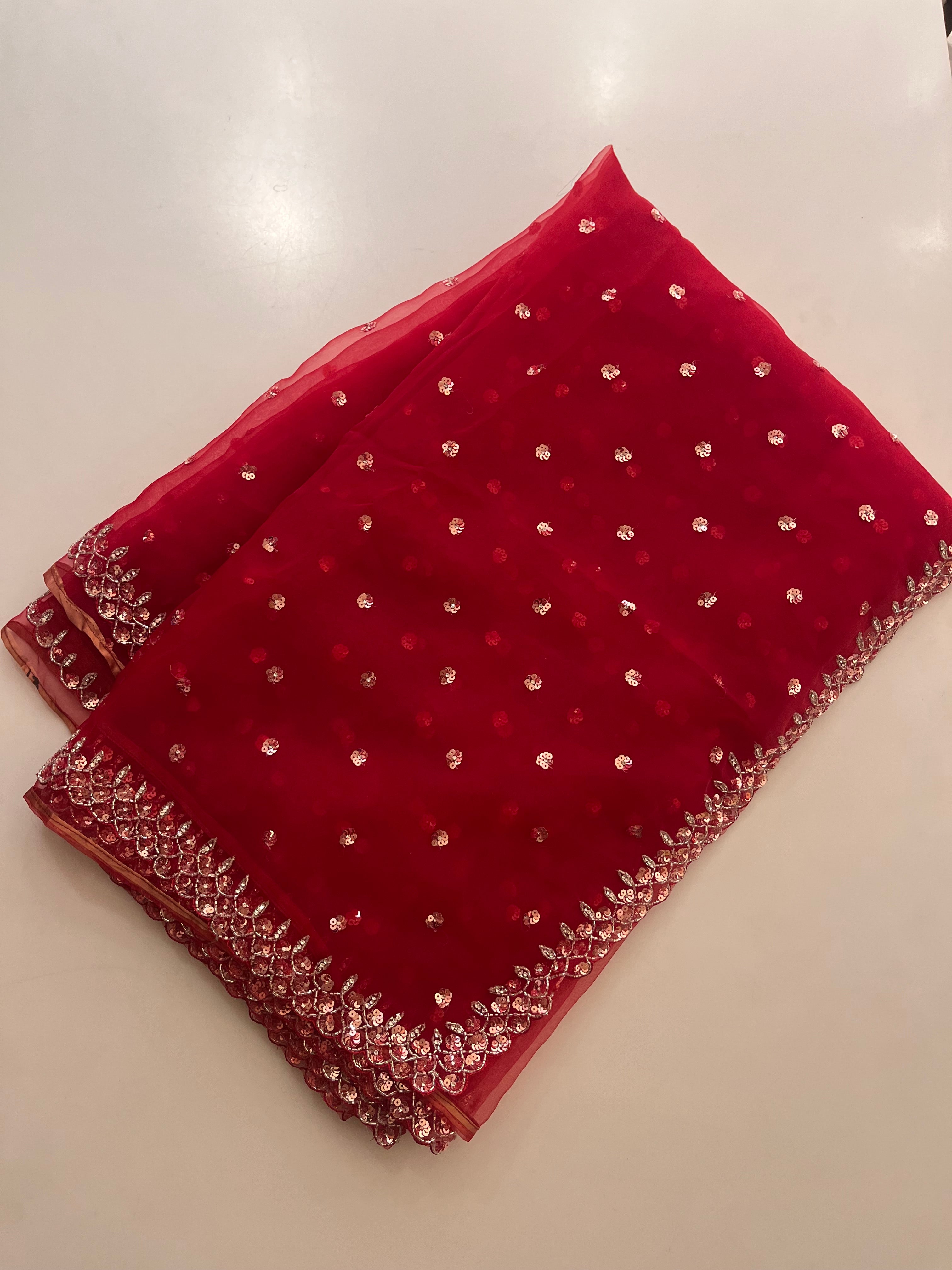 Rube Radiance sequins saree