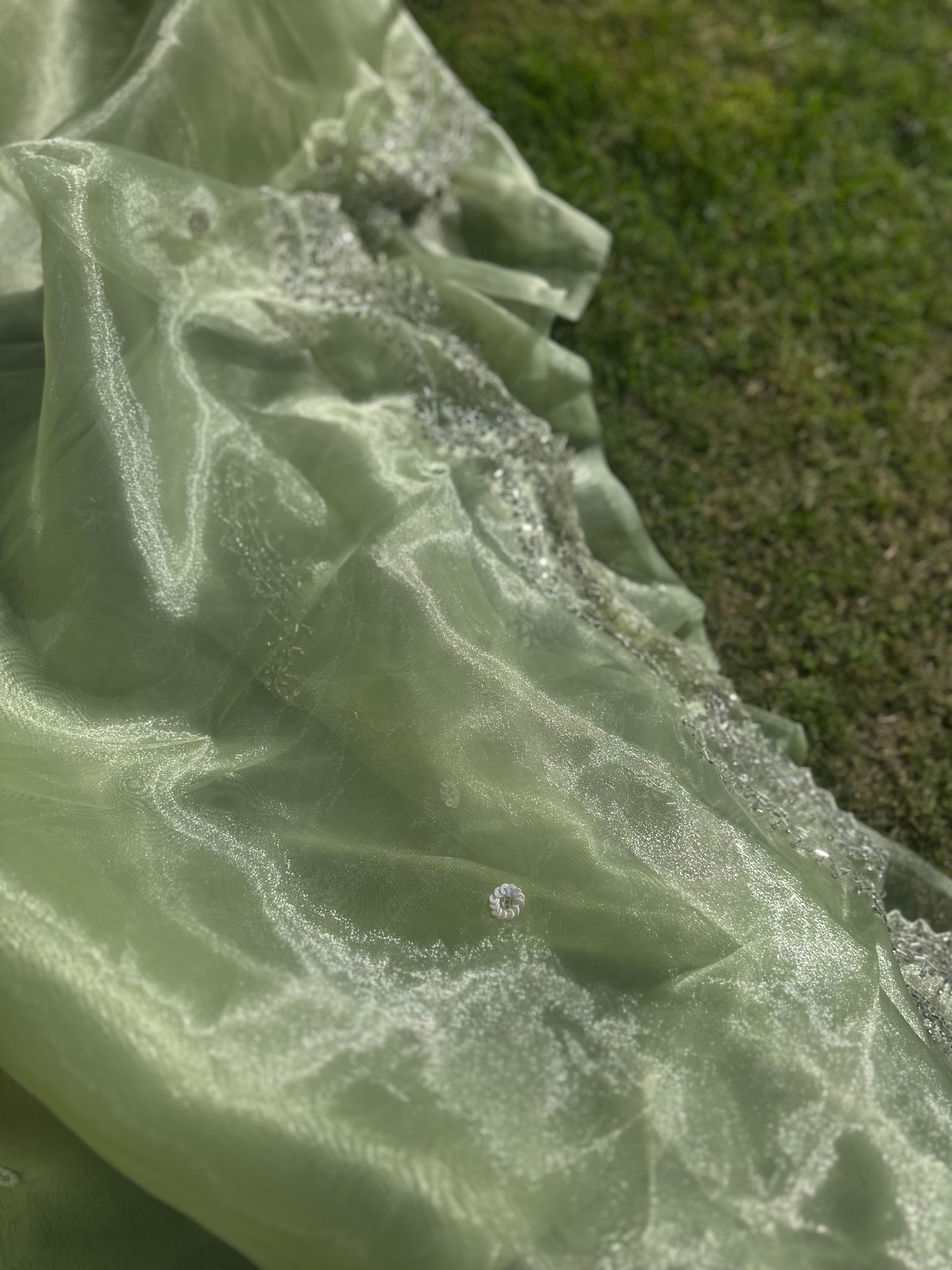 Kiwi Tissue organza saree