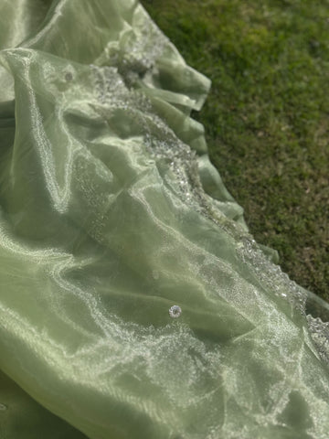 Kiwi Tissue organza saree