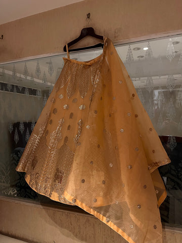 Sunhera Organza Lehenga Set