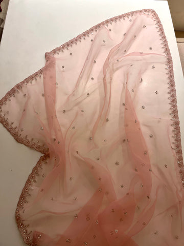 Pretty In Pink Organza Saree