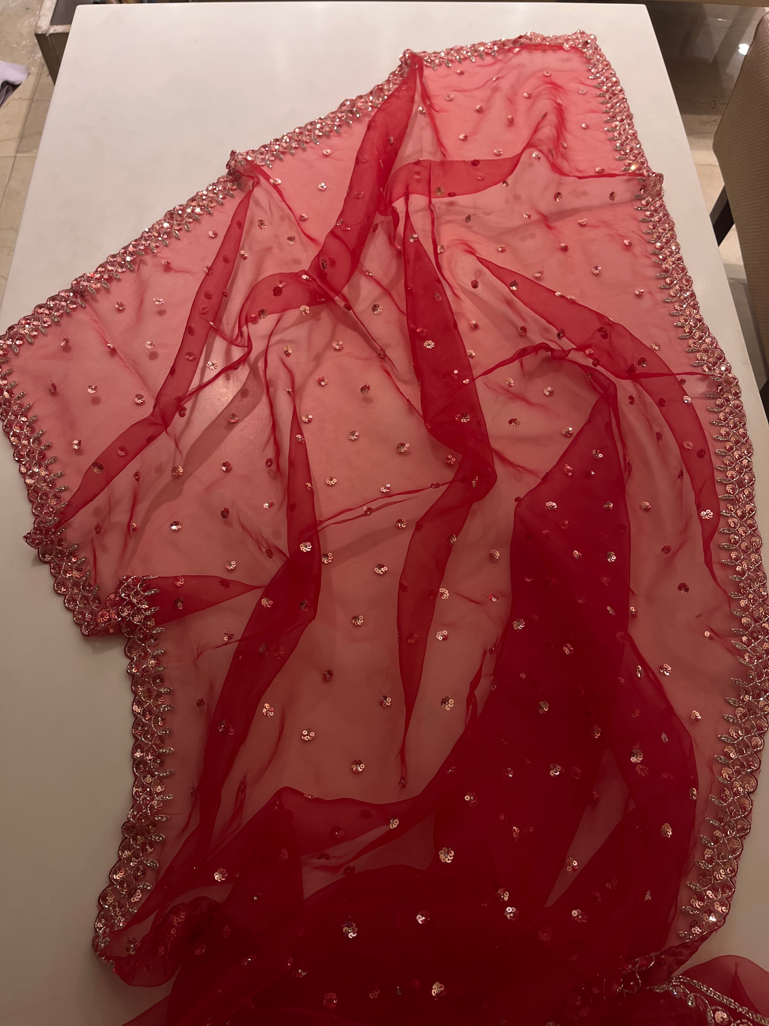 Rube Radiance sequins saree