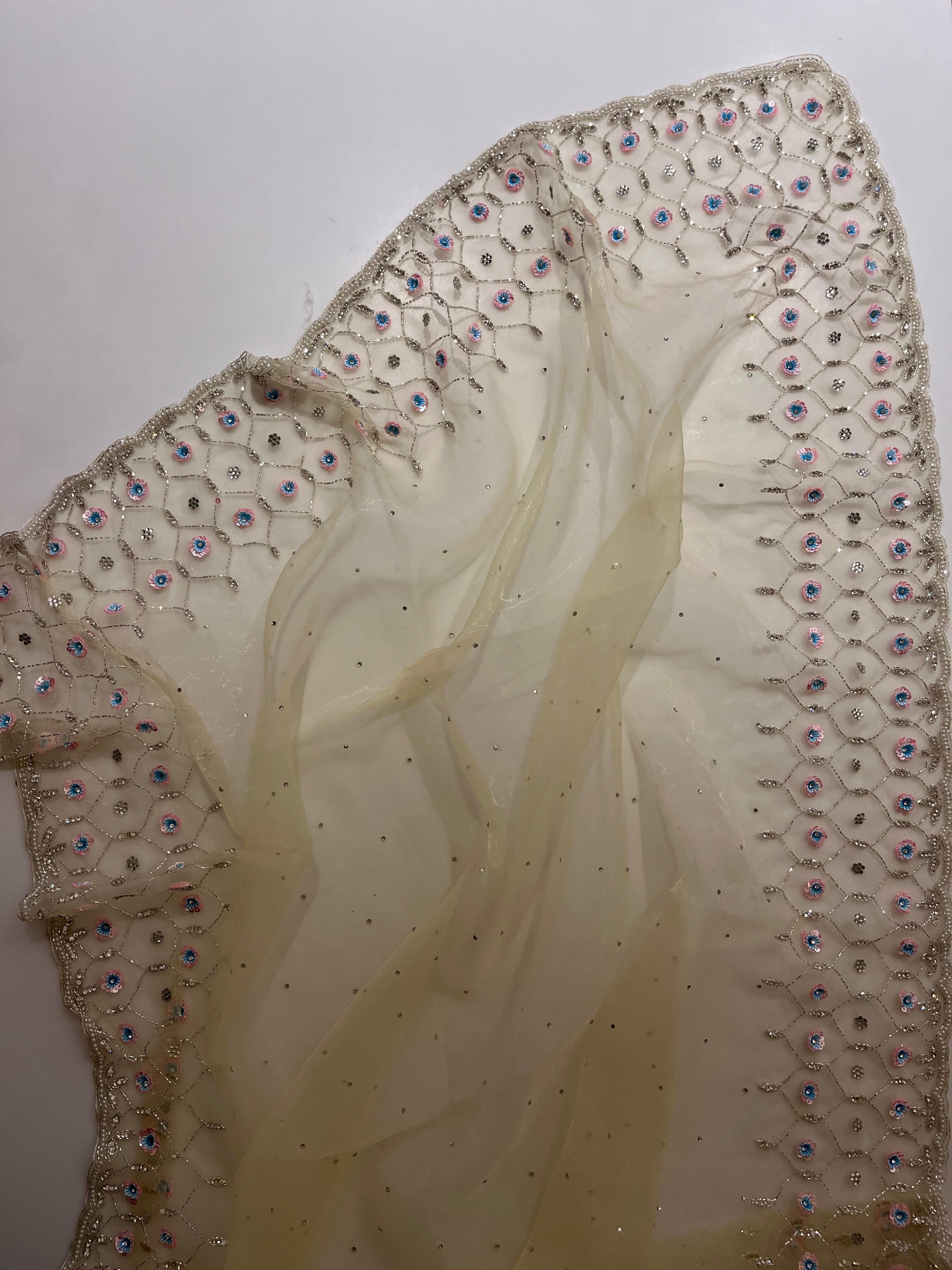 Pastel Yellow Evening organza saree