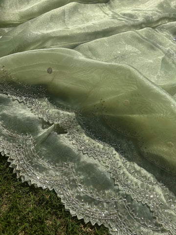 Kiwi Tissue organza saree