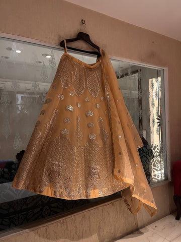 Sunhera Organza Lehenga Set