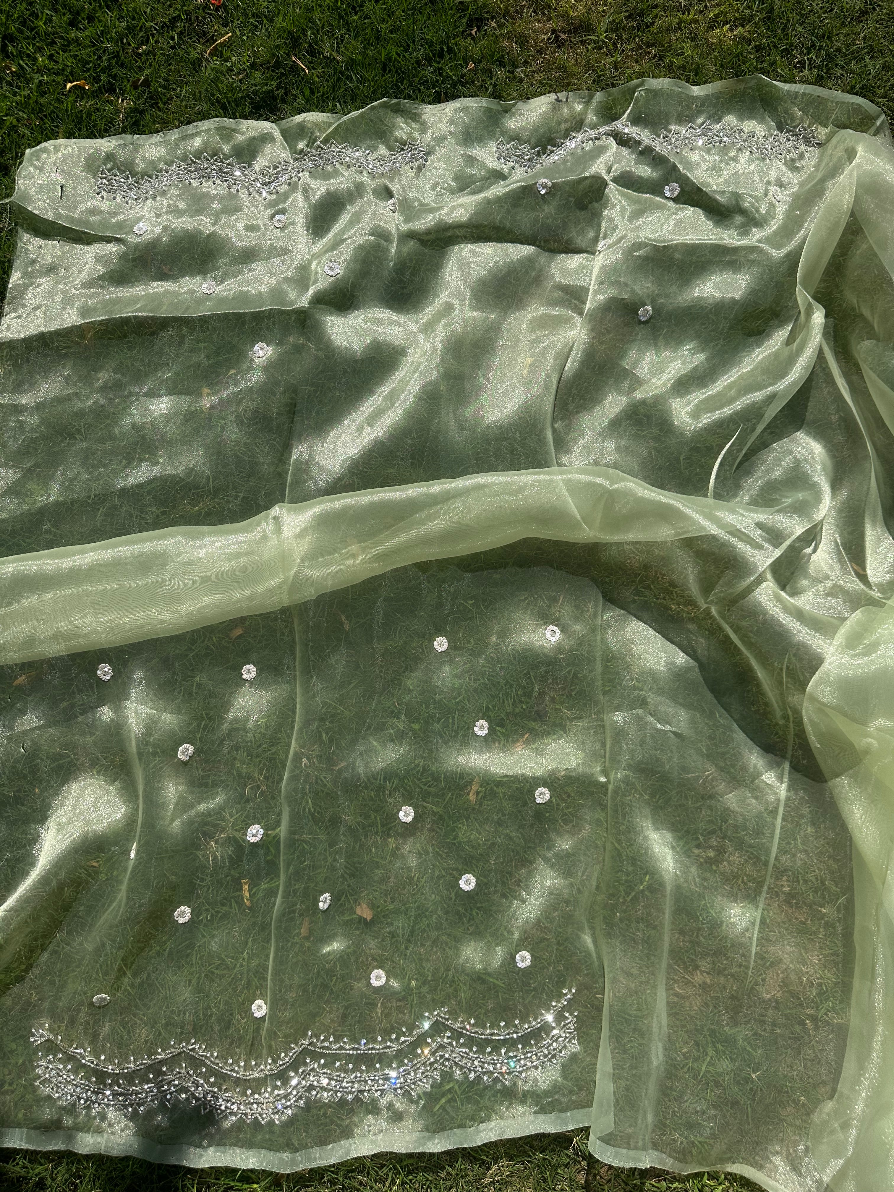 Kiwi Tissue organza saree