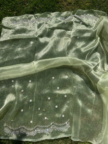 Kiwi Tissue organza saree