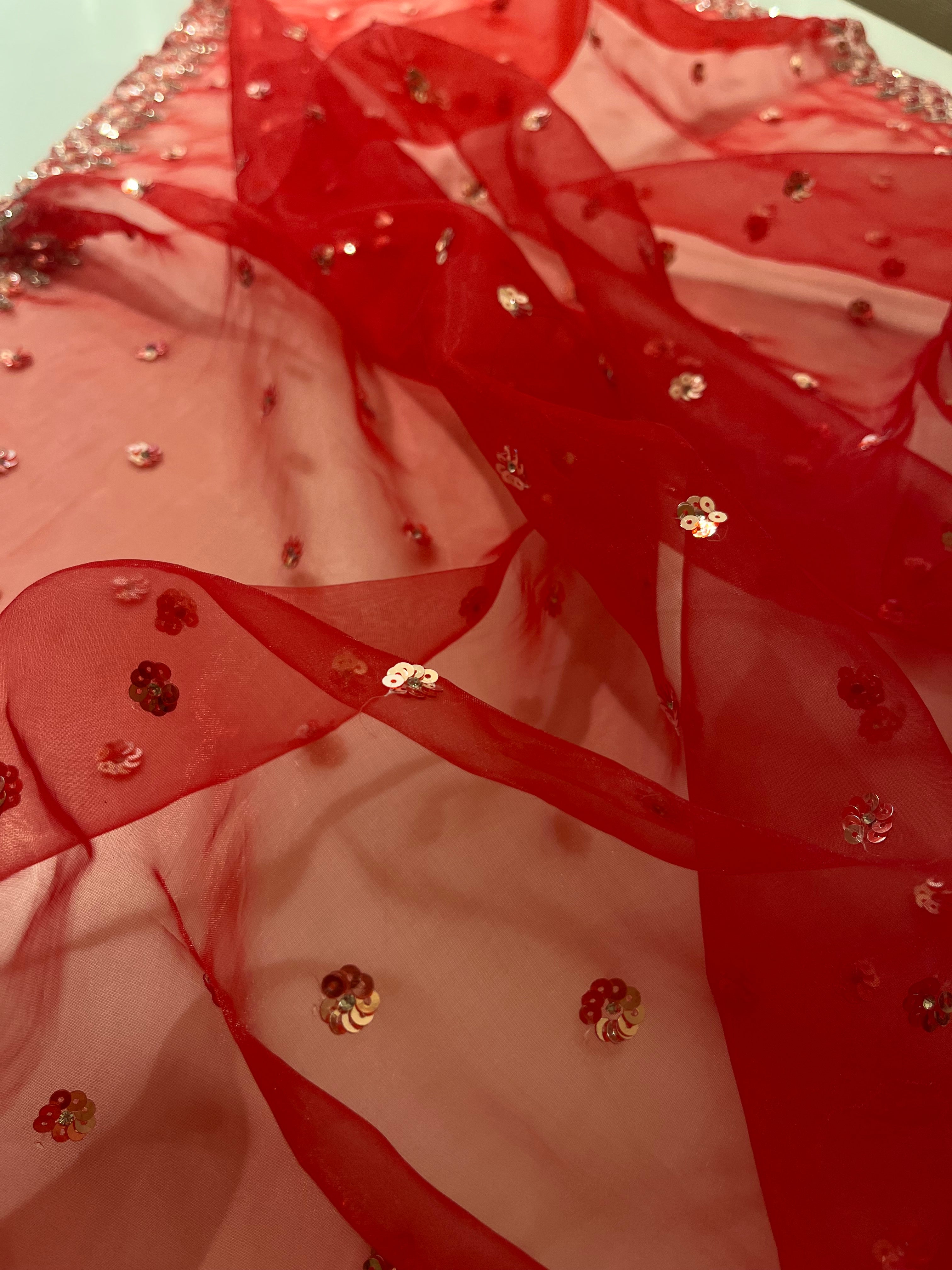 Rube Radiance sequins saree