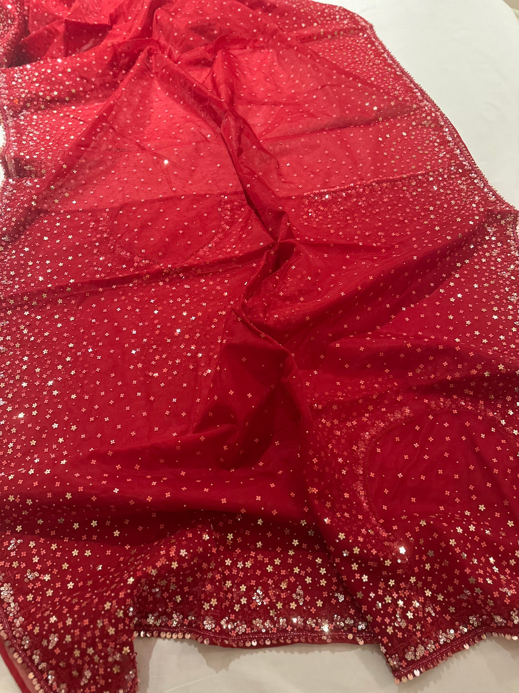 Nora Cocktail Saree ( Parisa collection)