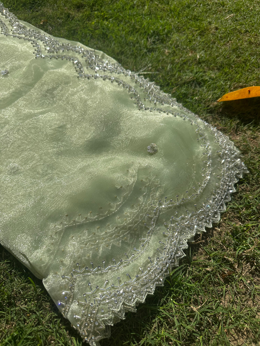 Kiwi Tissue organza saree
