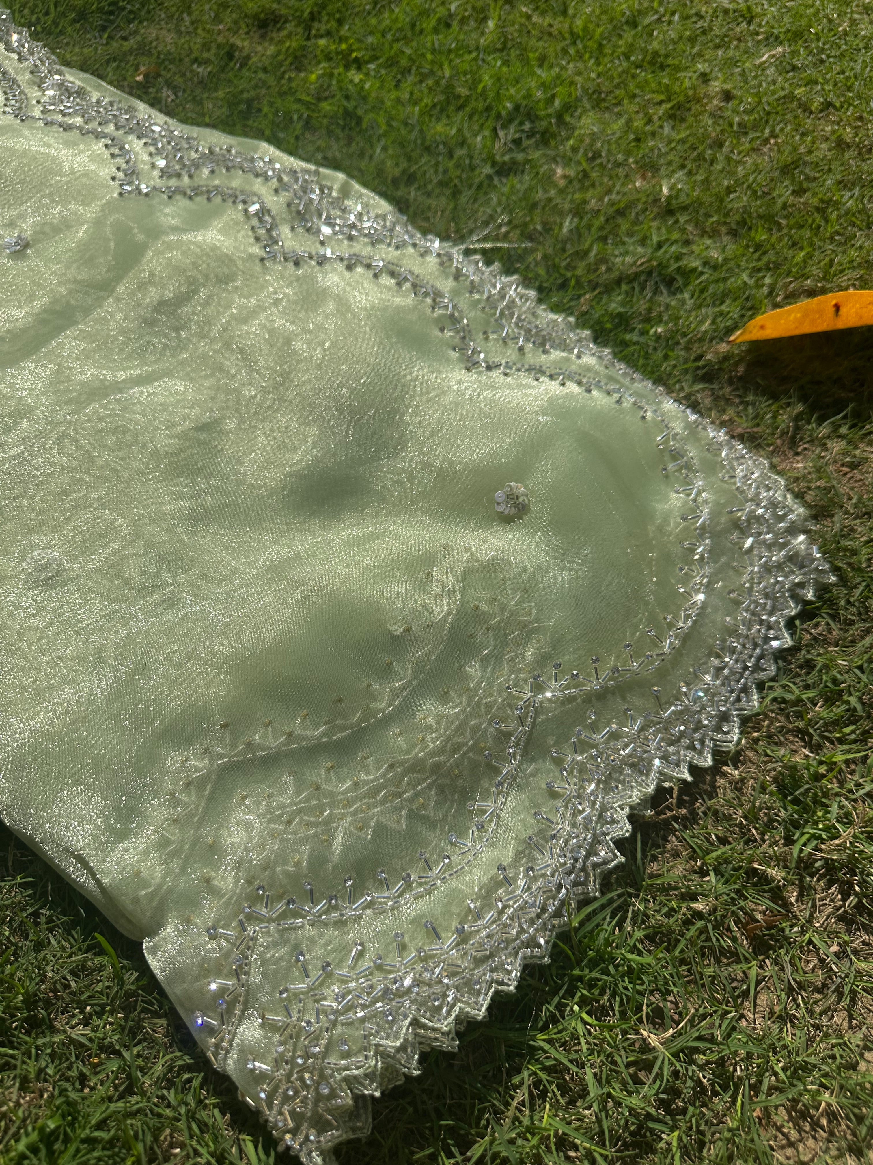 Kiwi Tissue organza saree