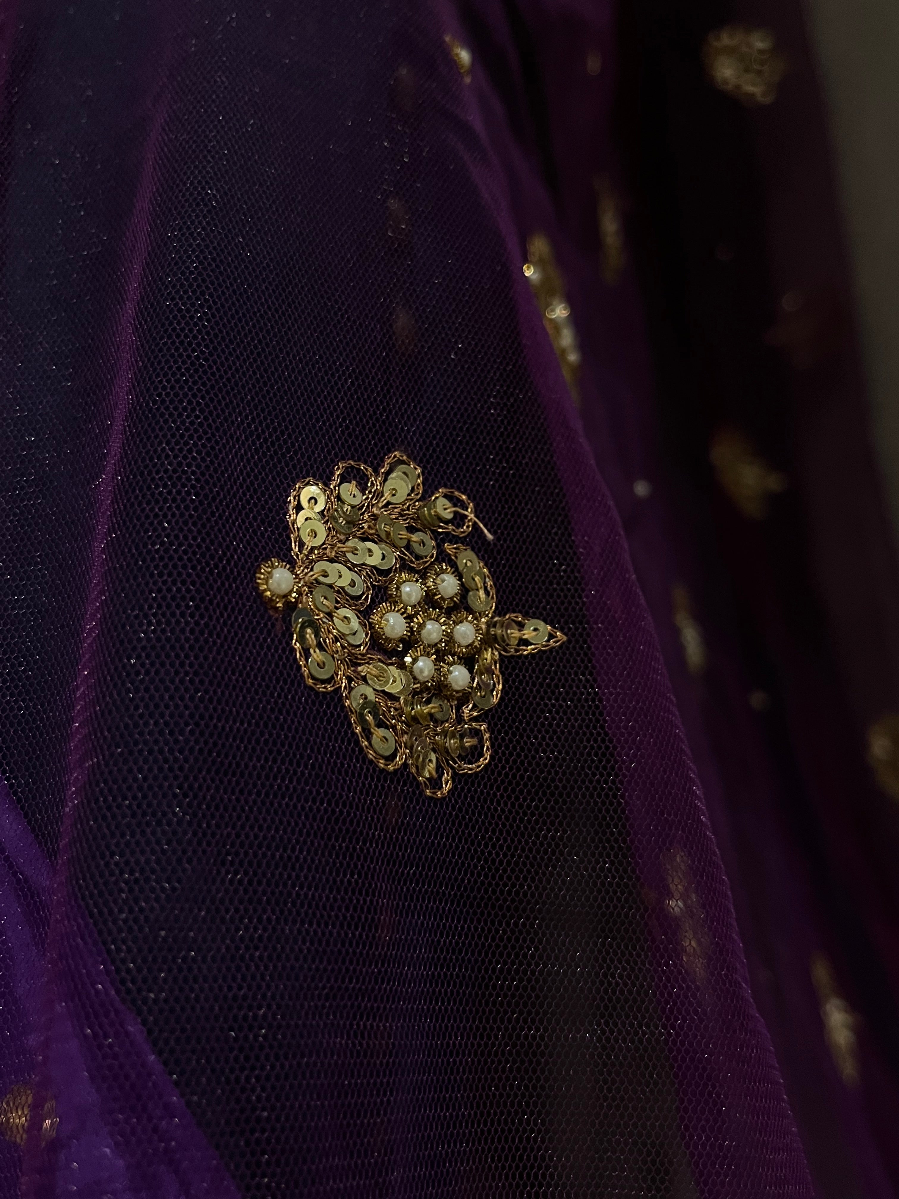Royal Rajwada Lehenga Set